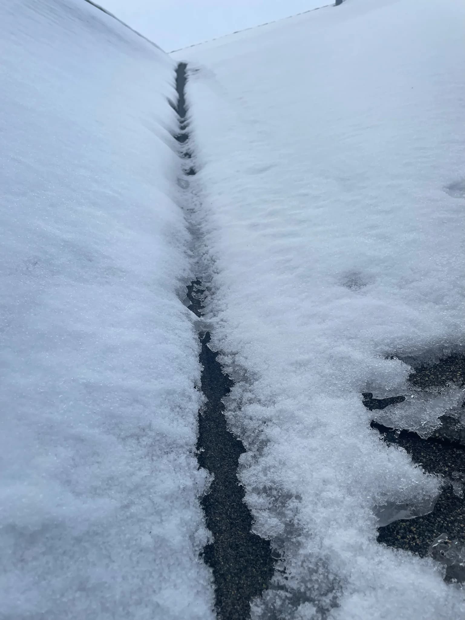 Turtle Shell Gutter Protection Naperville Il 100