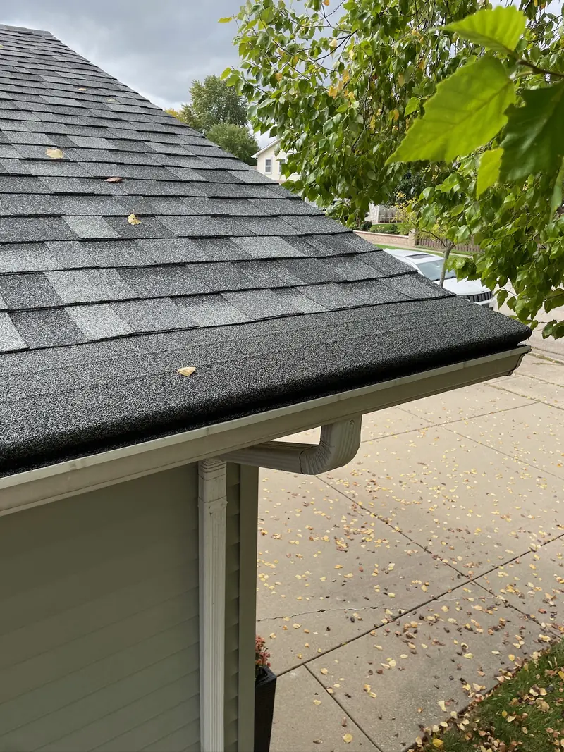 Turtle Shell Gutter Cap