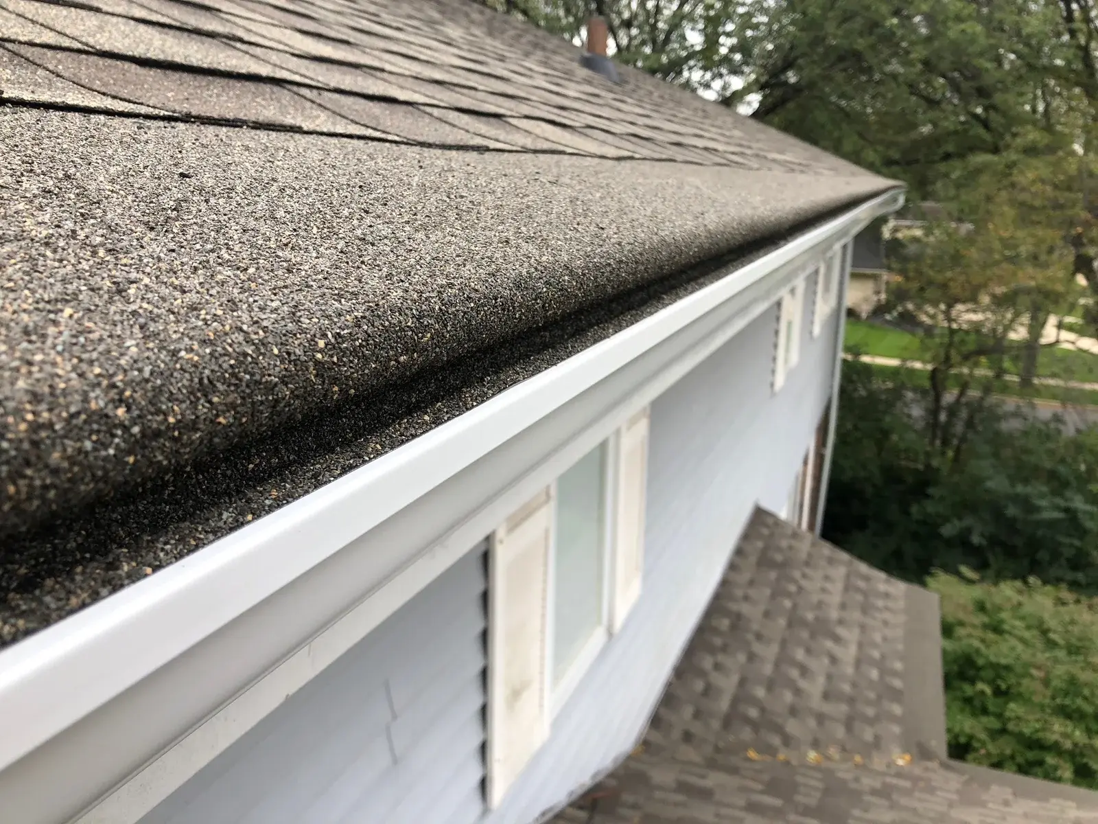 The Longtime Homeowner